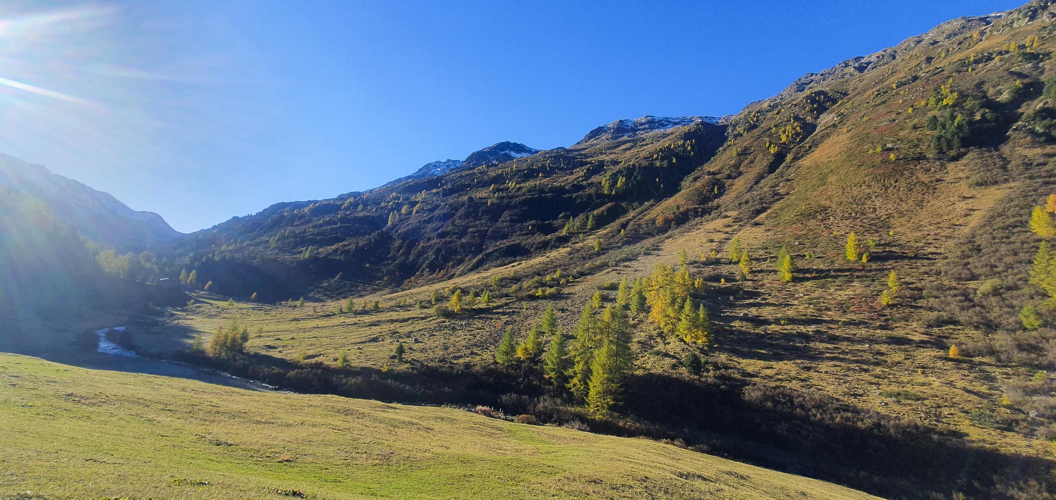 Flela Pass Davos Blumen wohnen